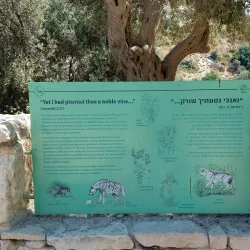 Nahal Sorek Nature Reserve - Beit Shemesh