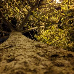 Park Ha'ir - Beit Shemesh