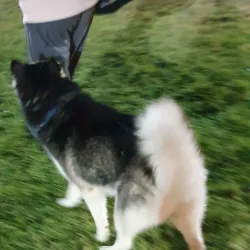 Park Ha'ir - Beit Shemesh