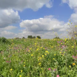 Tel Azeka - Beit Shemesh