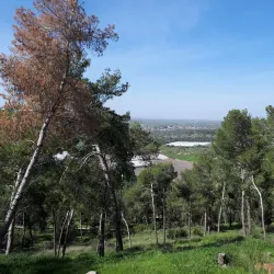 Tel Azeka - Beit Shemesh