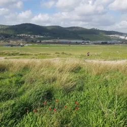 Tel Beit Shemesh - Beit Shemesh