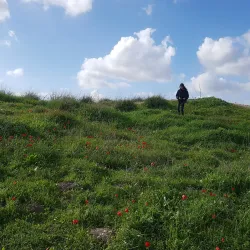Tel Beit Shemesh - Beit Shemesh