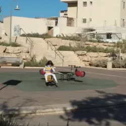 Local Synagogues - Beitar Illit