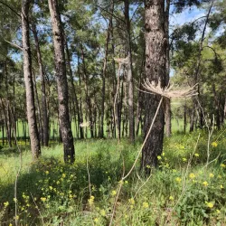 Nearby Nature Trails - Beitar Illit