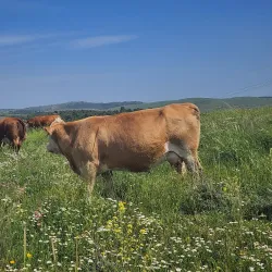Nearby Nature Trails - Beitar Illit