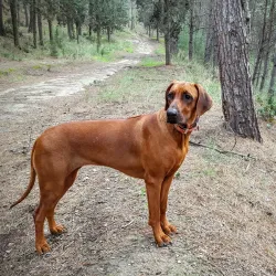 Nearby Nature Trails - Beitar Illit