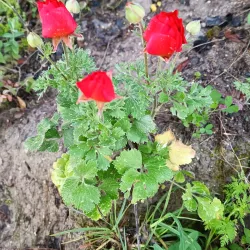 Nearby Nature Trails - Beitar Illit