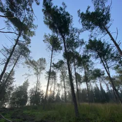 Nearby Nature Trails - Beitar Illit