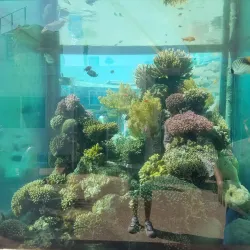 Coral Beach Nature Reserve - Eilat