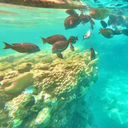 Coral Beach Nature Reserve - Eilat