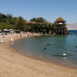 Dolphin Reef - Eilat