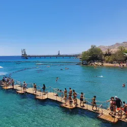 Dolphin Reef - Eilat