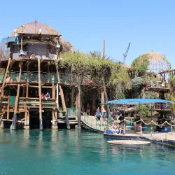 Dolphin Reef - Eilat