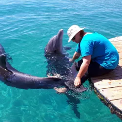 Dolphin Reef - Eilat