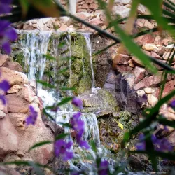 Eilat Botanical Garden - Eilat