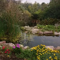 Eilat Botanical Garden - Eilat