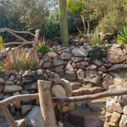 Eilat Botanical Garden - Eilat