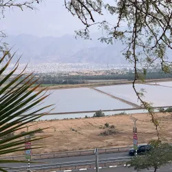 Eilat Botanical Garden - Eilat