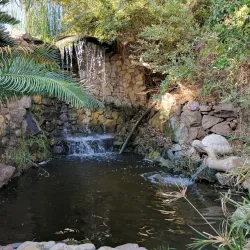 Eilat Botanical Garden - Eilat