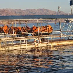 Eilat Marina - Eilat