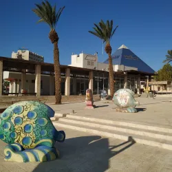 Eilat Museum of Art - Eilat