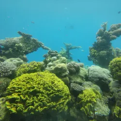 Underwater Observatory Marine Park - Eilat