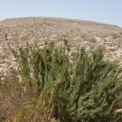 Arava Valley - Ein Tamar