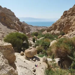 Ein Gedi Nature Reserve - Ein Tamar