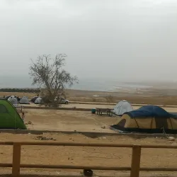 Ein Gedi Nature Reserve - Ein Tamar