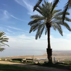 Ein Gedi Nature Reserve - Ein Tamar
