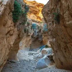 Ein Gedi Nature Reserve - Ein Tamar