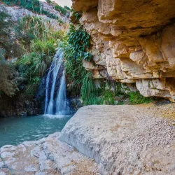 Ein Gedi Nature Reserve - Ein Tamar