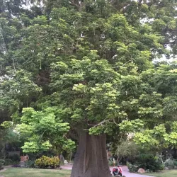 Ein Gedi Nature Reserve - Ein Tamar