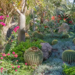 Ein Gedi Nature Reserve - Ein Tamar