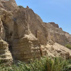 Ein Gedi Nature Reserve - Ein Tamar