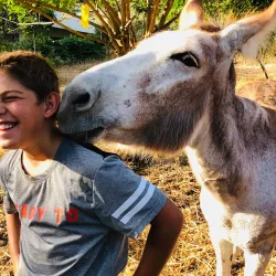 Ein Tamar Agricultural Farm - Ein Tamar