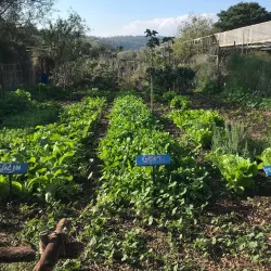 Ein Tamar Agricultural Farm - Ein Tamar