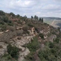 Ein Tamar Nature Reserve - Ein Tamar