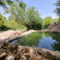 Ein Tamar Springs - Ein Tamar