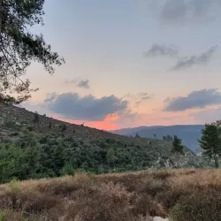 Ein Tamar Springs - Ein Tamar