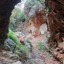 Ein Tamar Springs - Ein Tamar