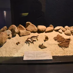 Qumran Caves - Ein Tamar