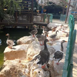 Community Sports Facilities - El'ad (Elad)