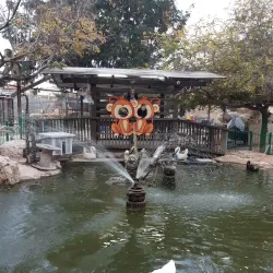 Community Sports Facilities - El'ad (Elad)