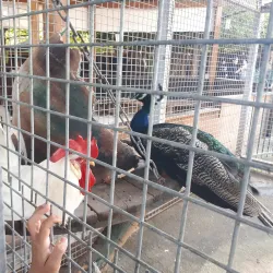 Community Sports Facilities - El'ad (Elad)