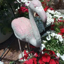 El'ad Educational Institutions - El'ad (Elad)