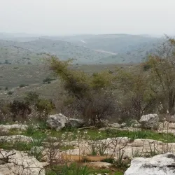 El'ad Educational Institutions - El'ad (Elad)