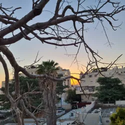 El'ad Educational Institutions - El'ad (Elad)