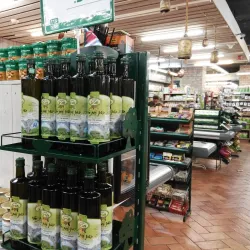 Gan Ha'ir Park - El'ad (Elad)